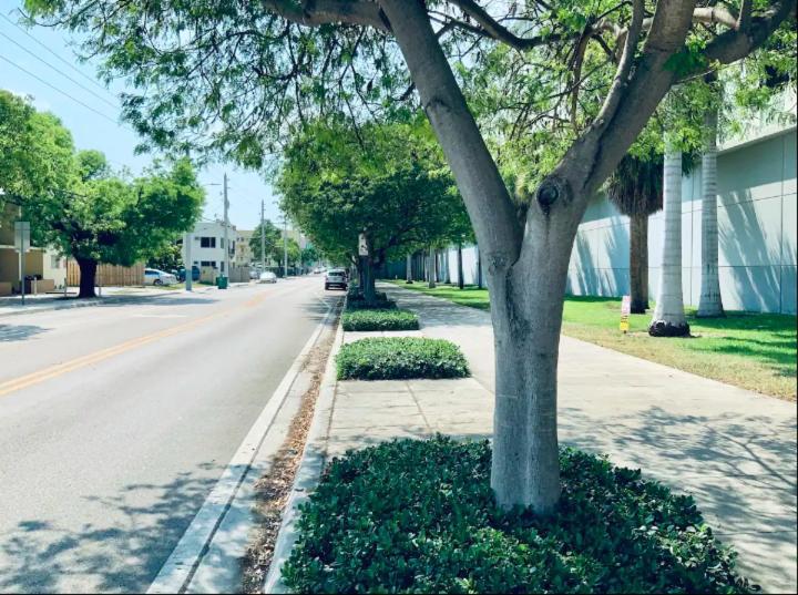 Apartments In The Heart Of Miami - Port Of Miami / Miami Airport Екстер'єр фото